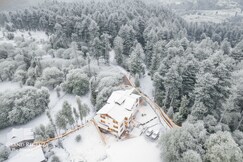 Hotel Grand Regenza | The Forest Front