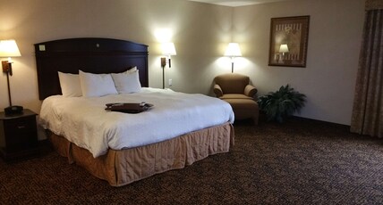 Hampton Inn & Suites by Hilton Gallup Room Type - 1 KING STUDIO SUITE NOSMOK