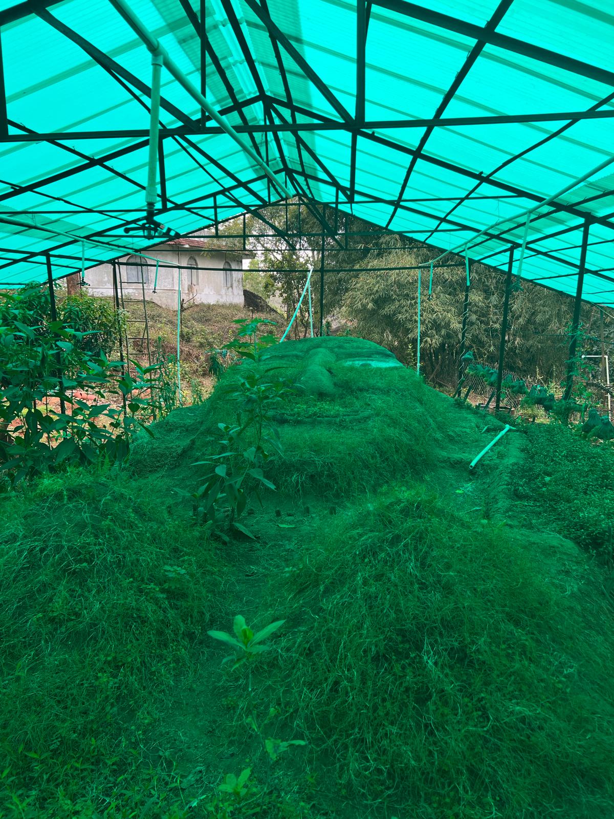 Satya Yuga Siddharth Village Homestay - Tap to explore photos