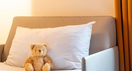 ibis Styles Toulouse Cite Espace Room Type - Standard Room with 1 double bed and 1 sofa