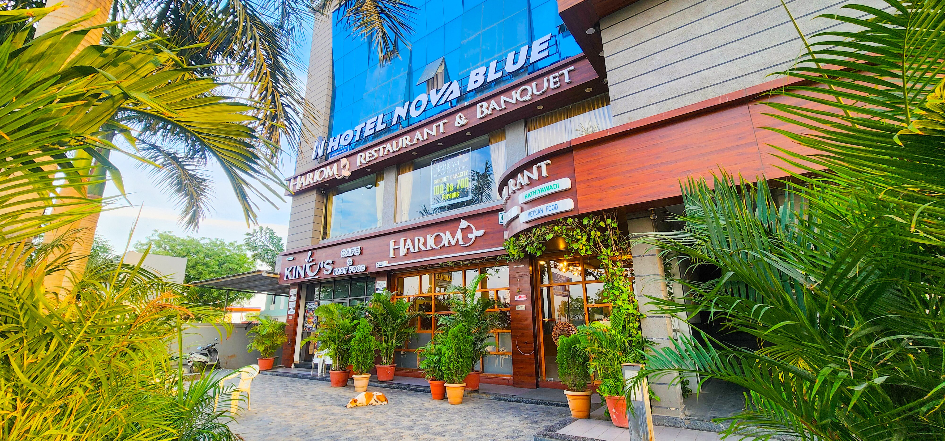 Hotel Nova Blue - Tap to explore photos