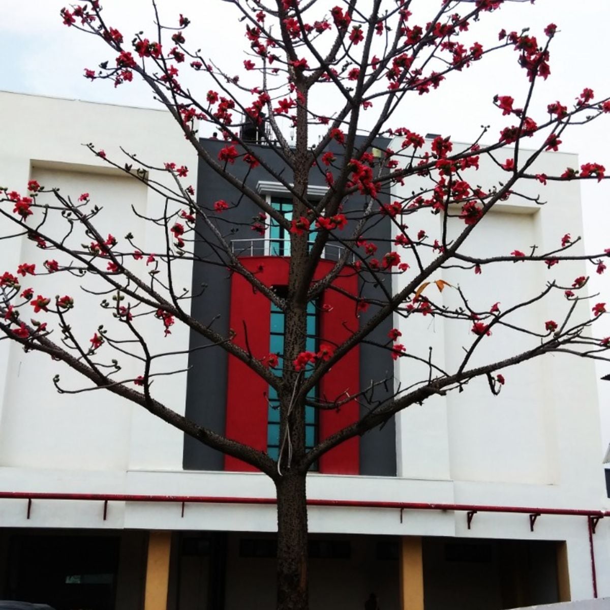 Max Hotels Jabalpur - Tap to explore photos