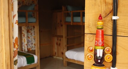 Mountain Mamma Room Type - Freddie