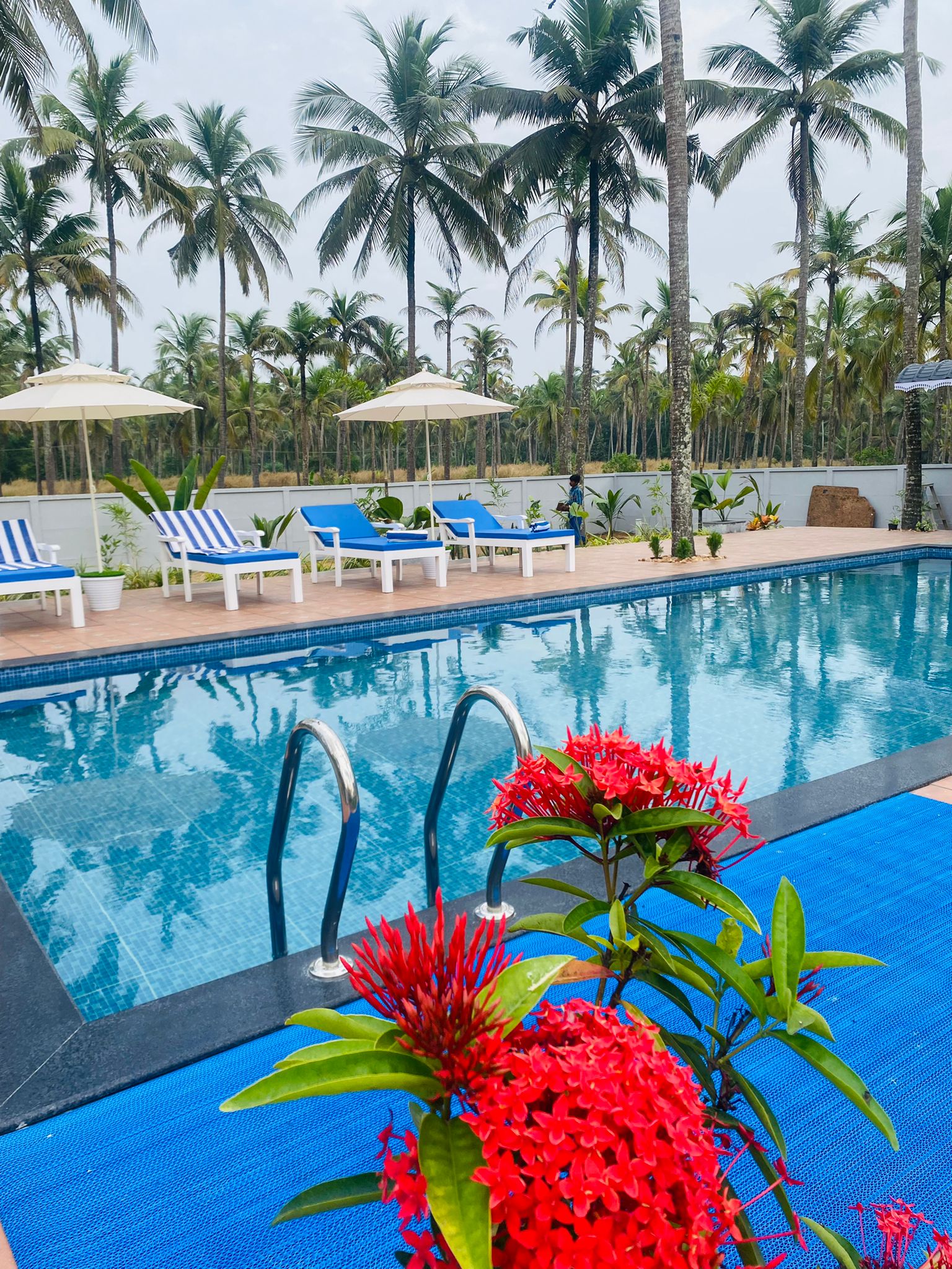 Veda5 Ayurveda Living Village - Tap to explore photos