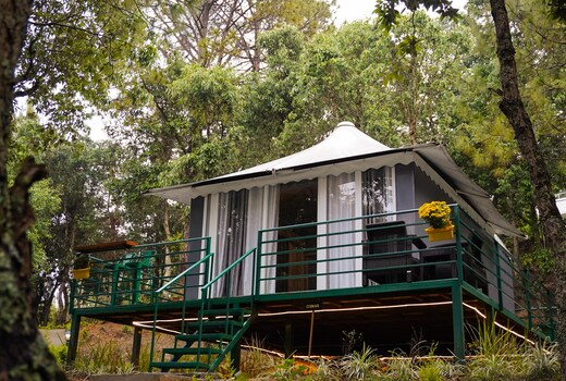 Lux Tent in Majkhali w Heated Pool | Tarumarg (C)