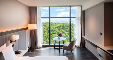 DoubleTree by Hilton Seoul Pangyo Room Type - KING DLX FOREST VIEW ROOM