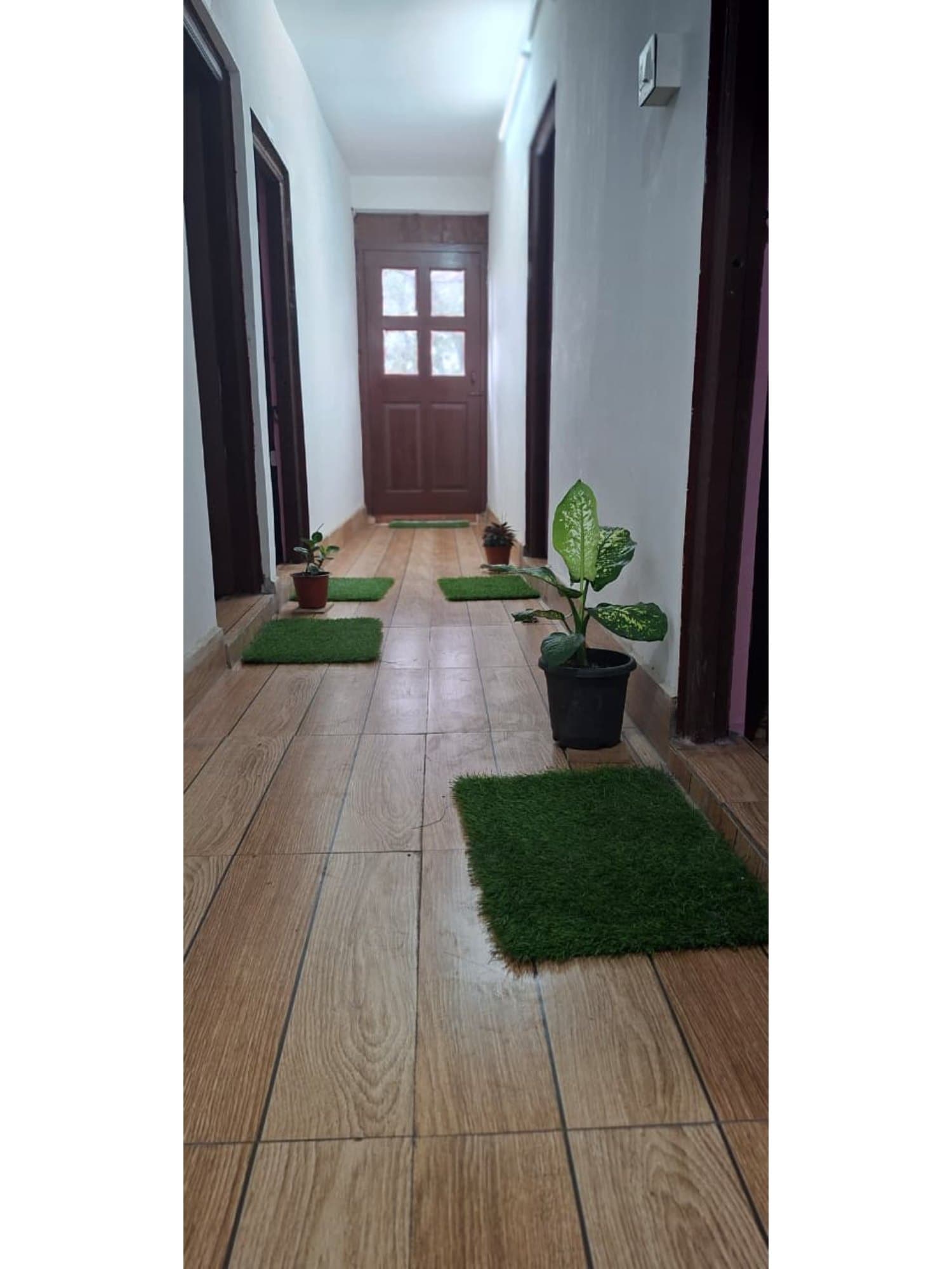 Tulip nest homestay. - Tap to explore photos