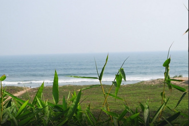 Bay Leaf Ayurveda Spa and Resort - Tap to explore photos