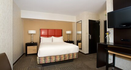 Holiday Inn Express Denver Downtown Room Type - 1 King Bd Stndrd Mobl Access Rll in Shwr