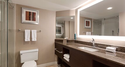 LaGuardia Plaza Hotel by Hilton Room Type - 1 QUEEN BED WITH BALCONY