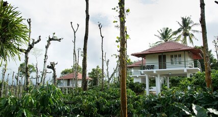 The Suvistara Resorts Room Type - AC Cottage