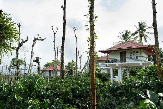 The Suvistara Resorts