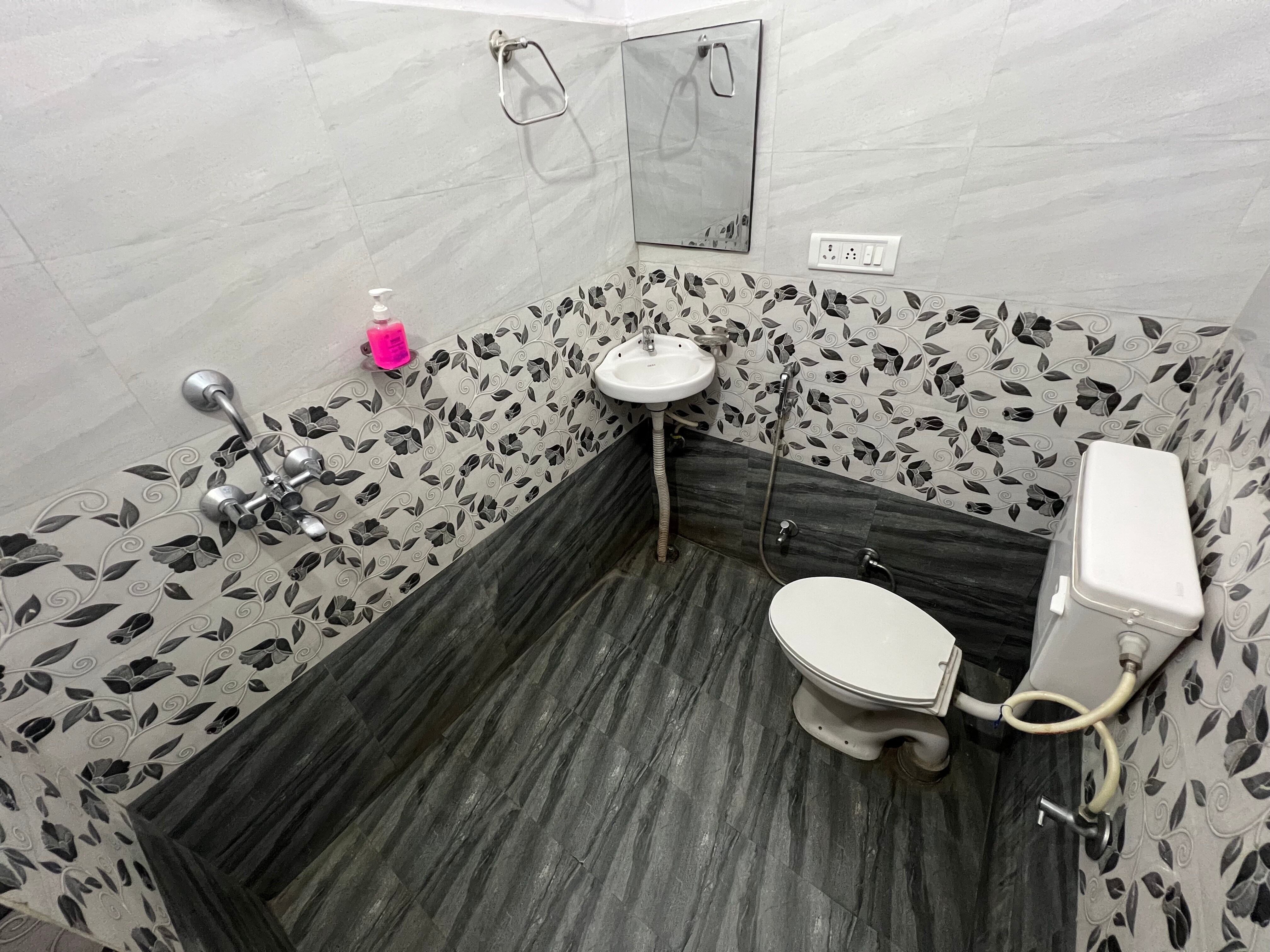 Lazy dodo - Tap to explore photos