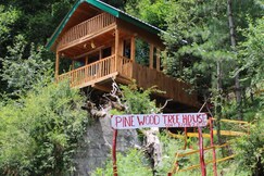 Pine Wood Tree House Tandi
