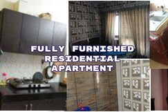 Fully furnished 2bhk apartment near oberoi mall