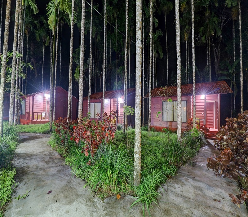 Lazo Areca Resort - Tap to explore photos