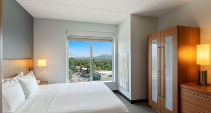 DoubleTree by Hilton Asheville Downtown Room Type - 1 KING MOUNTAIN VIEW