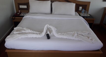 Hotel Park Plaza Room Type - STANDARD ROOM