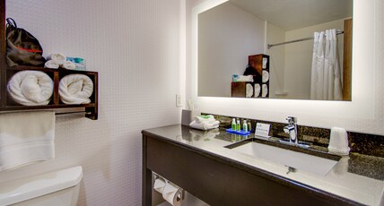 Holiday Inn Express DUBLIN Room Type - 1 King Standard Mobility Accessible Tub
