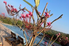 O' Carol 1RK Agastya Sea View Apartments Harnai