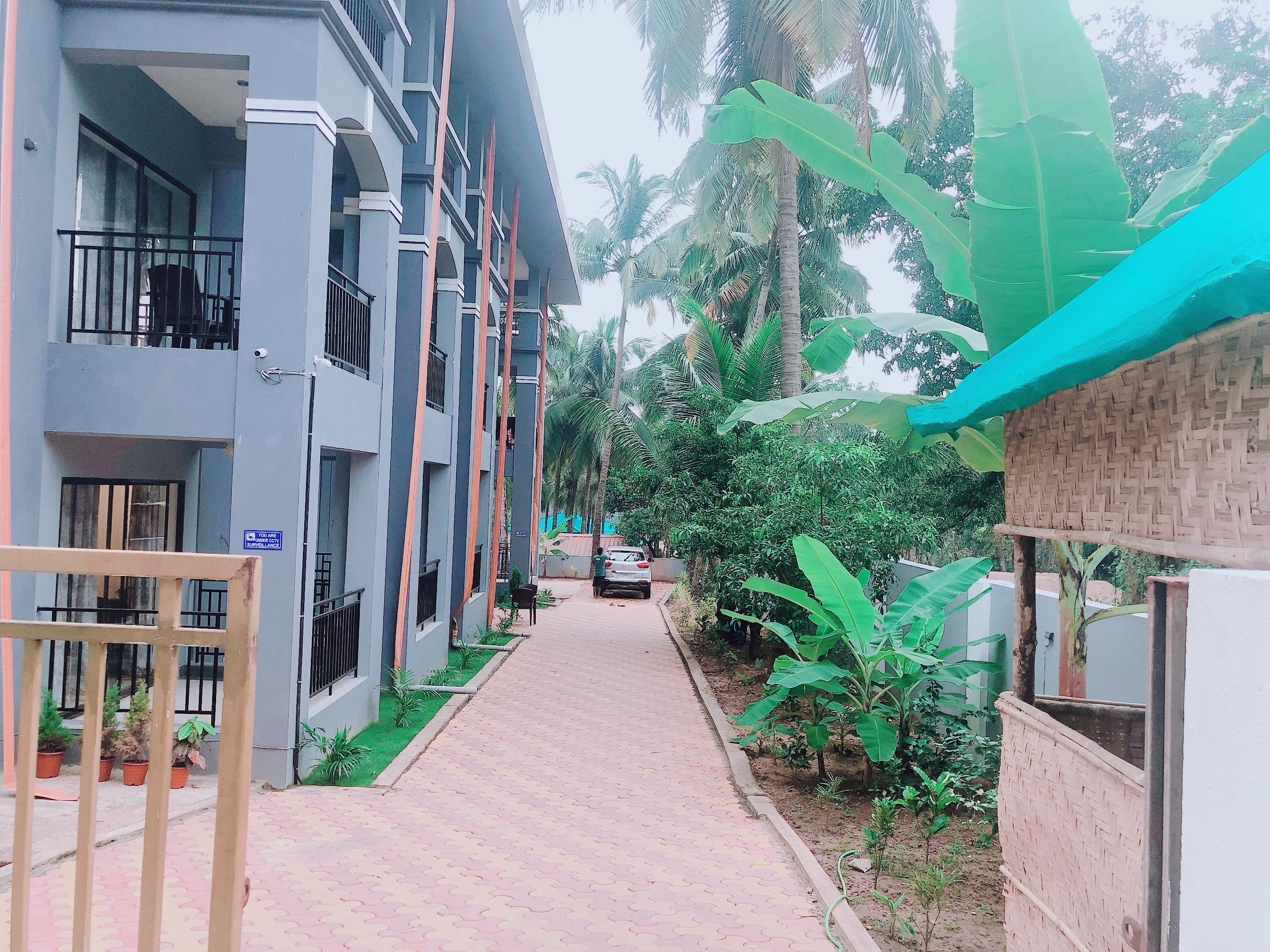 Cozy room with natural light