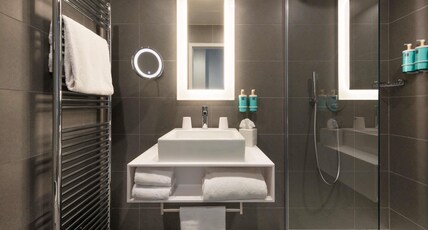 Novotel Paris 20 Belleville Room Type - Standard room with 1 double bed