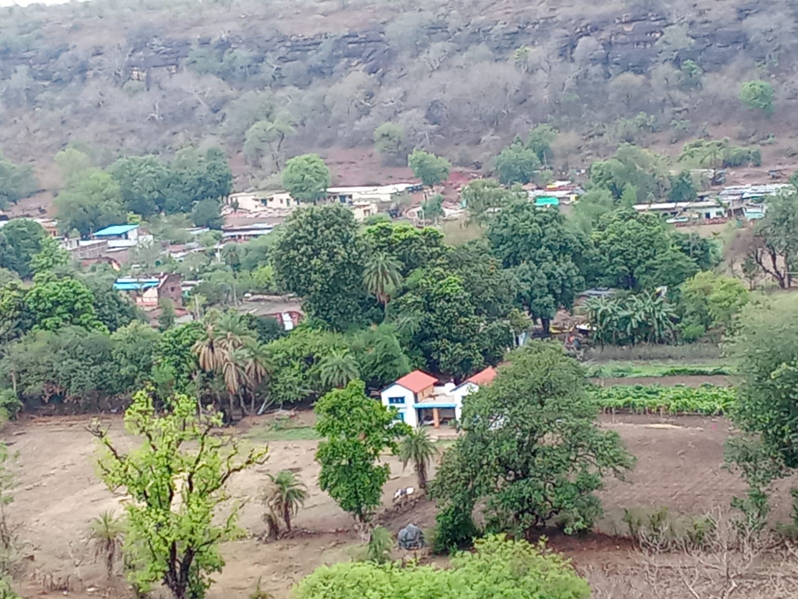 Hills View Homestay - Tap to explore photos