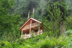Jungle Trails Cottage