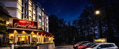 Hotel Grand White near ISBT Shimla