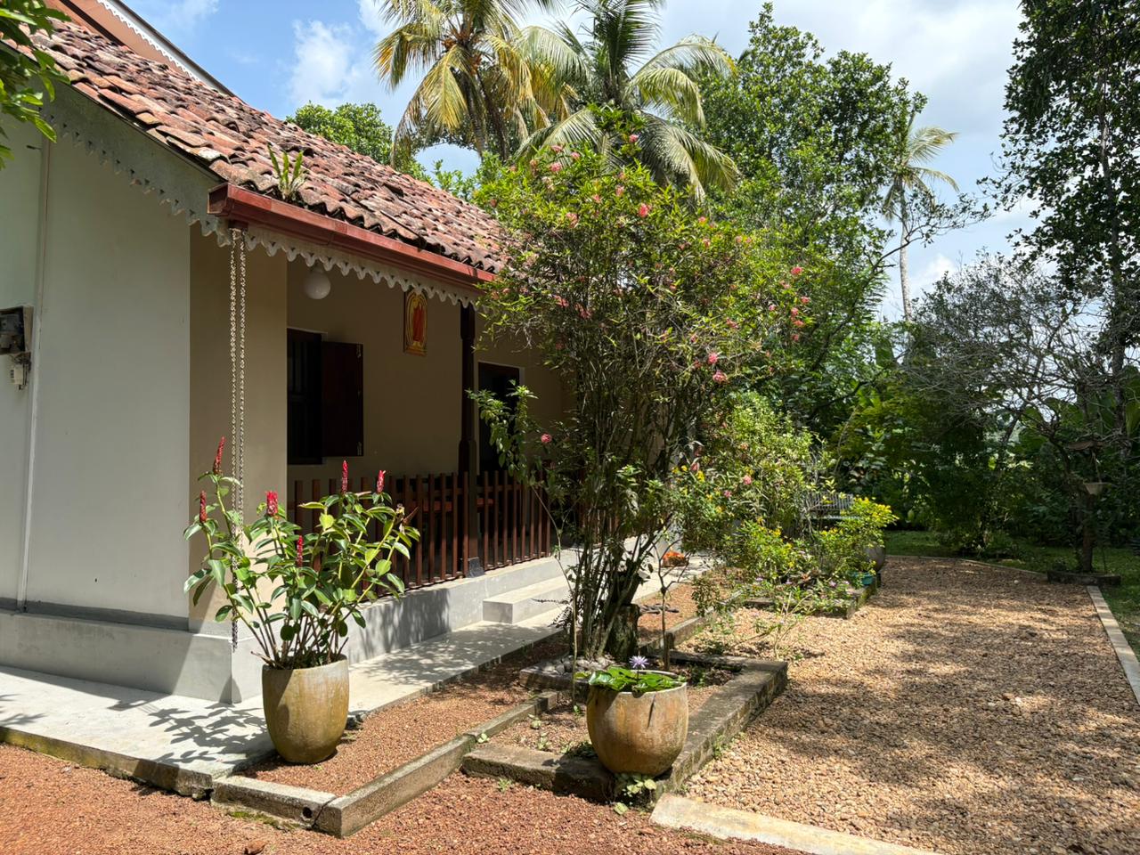 John's Homestay - Tap to explore photos