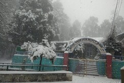 KMVN Snow View Heritage