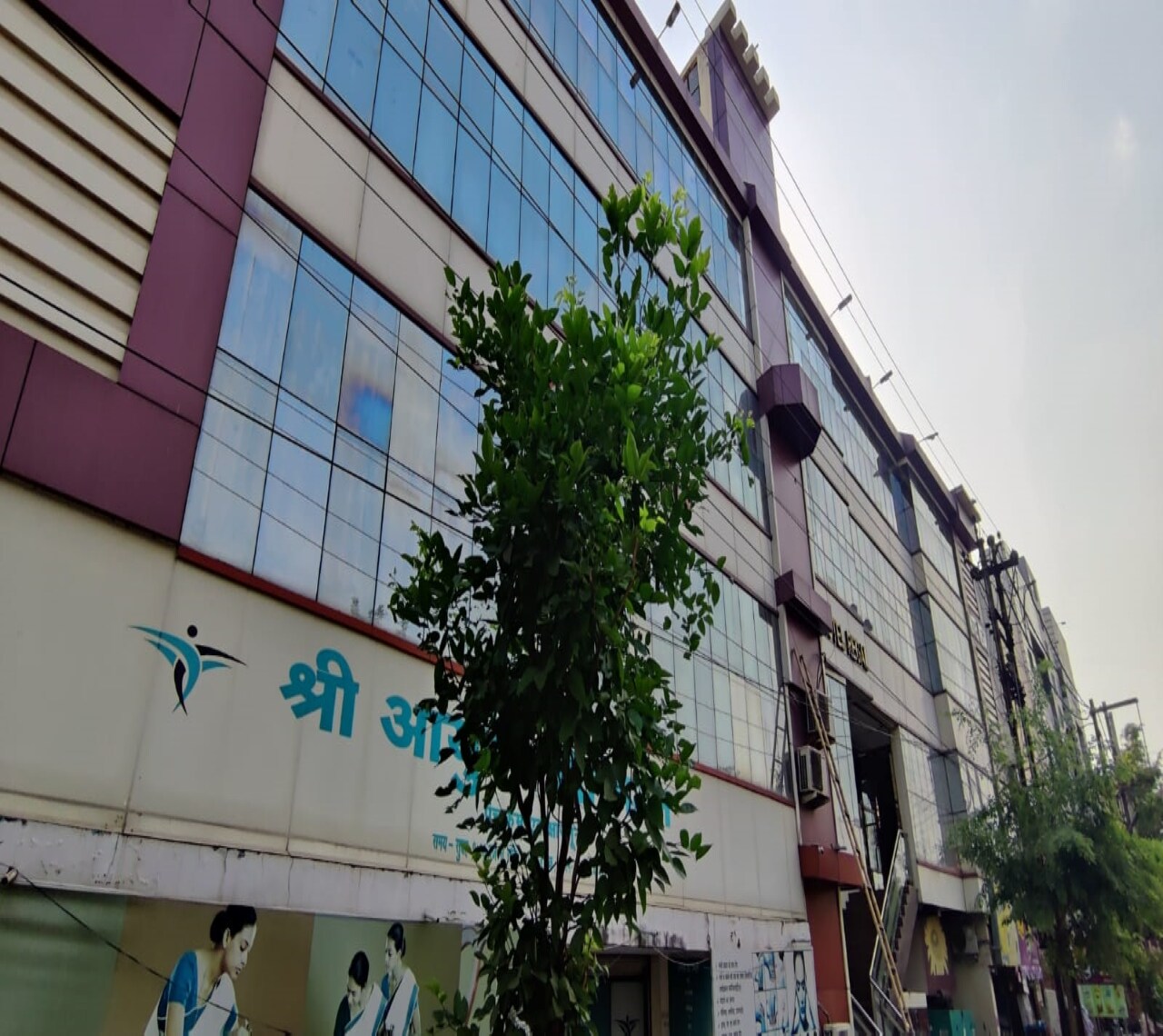Main gallery