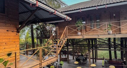 PMS Tree House Room Type - PMS Tree House