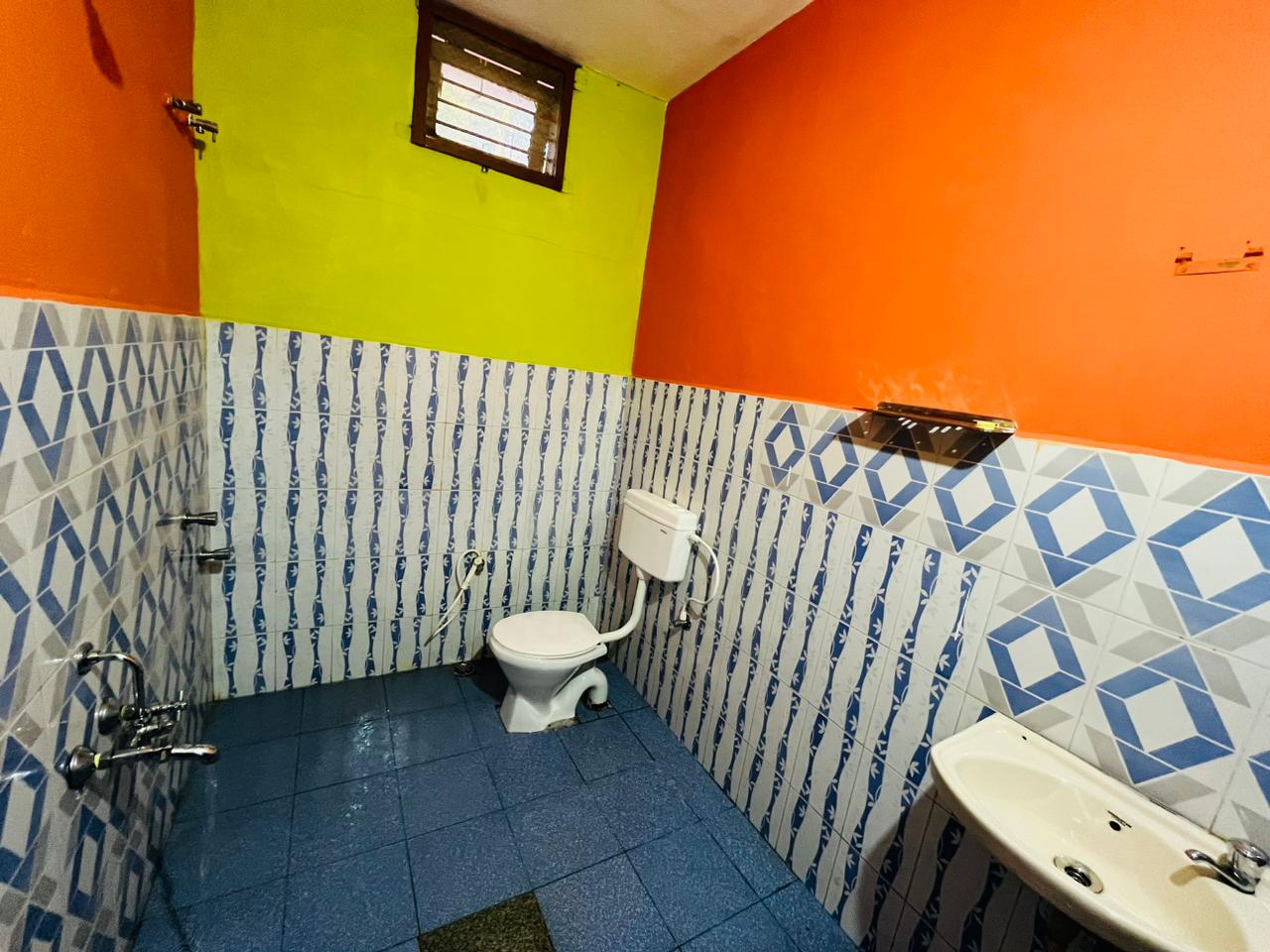 Wildlife stay - Tap to explore photos