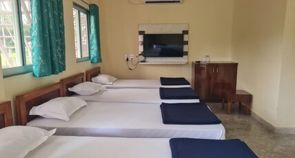 VIVIRA Room Type - Dolphins