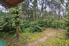 Prakruthi Farmstay