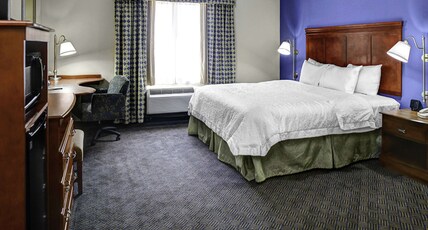 Hampton Inn by Hilton COLDWATER Room Type - 1KING STUDY SOFABED NOSMOK