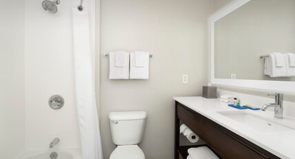Holiday Inn Express Puyallup Room Type - 1 King Standard Sofa Bed