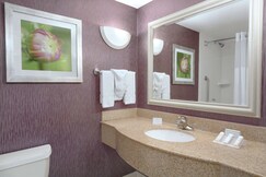 Hilton Garden Inn-Springfield, MA