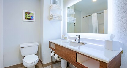 Hampton Inn by Hilton Slidell Room Type - 1KING STUDY SOFABED NOSMOK