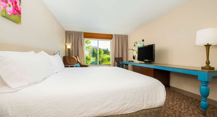 Hilton Garden Inn Charlottesville Room Type - 1 KING BED
