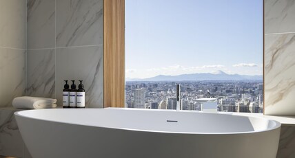 Hyatt Regency Tokyo Room Type - 1 KING BED, PARK VIEW, CORNOR STUDIO