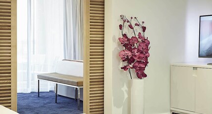 Mercure Golf Cap d'Agde Room Type - Deluxe Suite with king-size bed