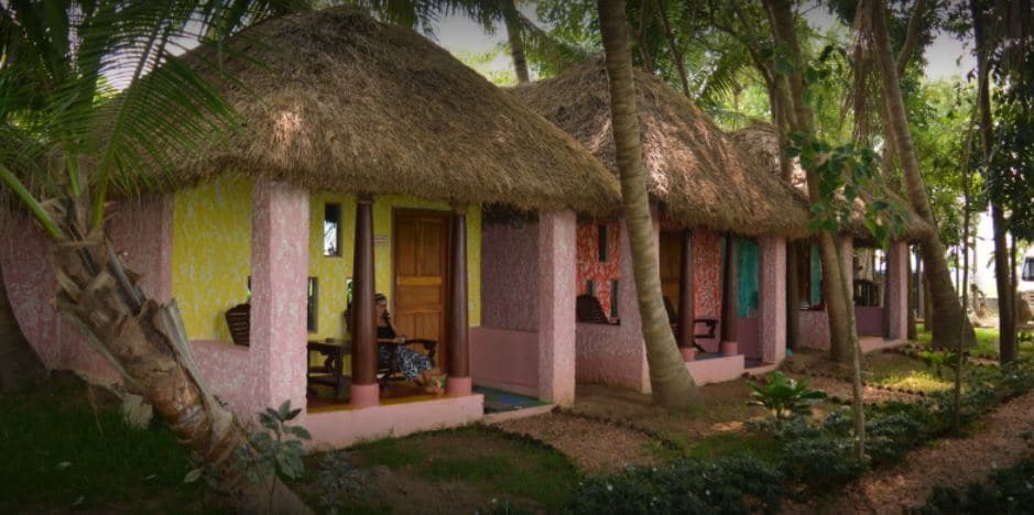 Paddy Homestay - Tap to explore photos