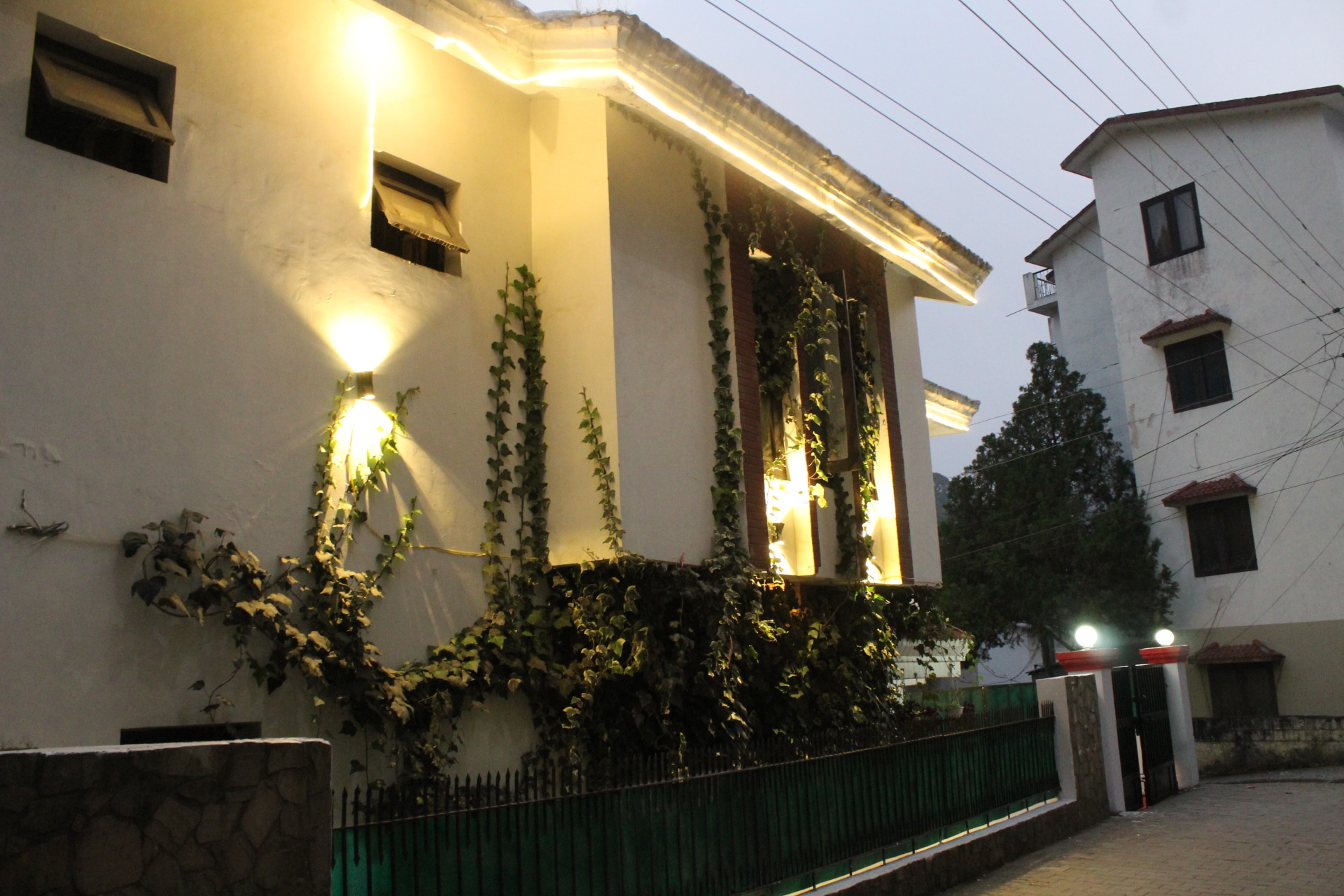 Main gallery