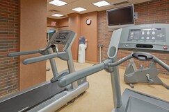Holiday Inn Niagara Falls - By The Falls