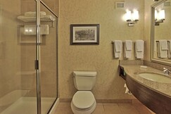 Hilton Garden Inn Las Cruces