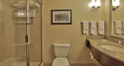 Hilton Garden Inn Las Cruces Room Type - 1 KING BED JR SUITE