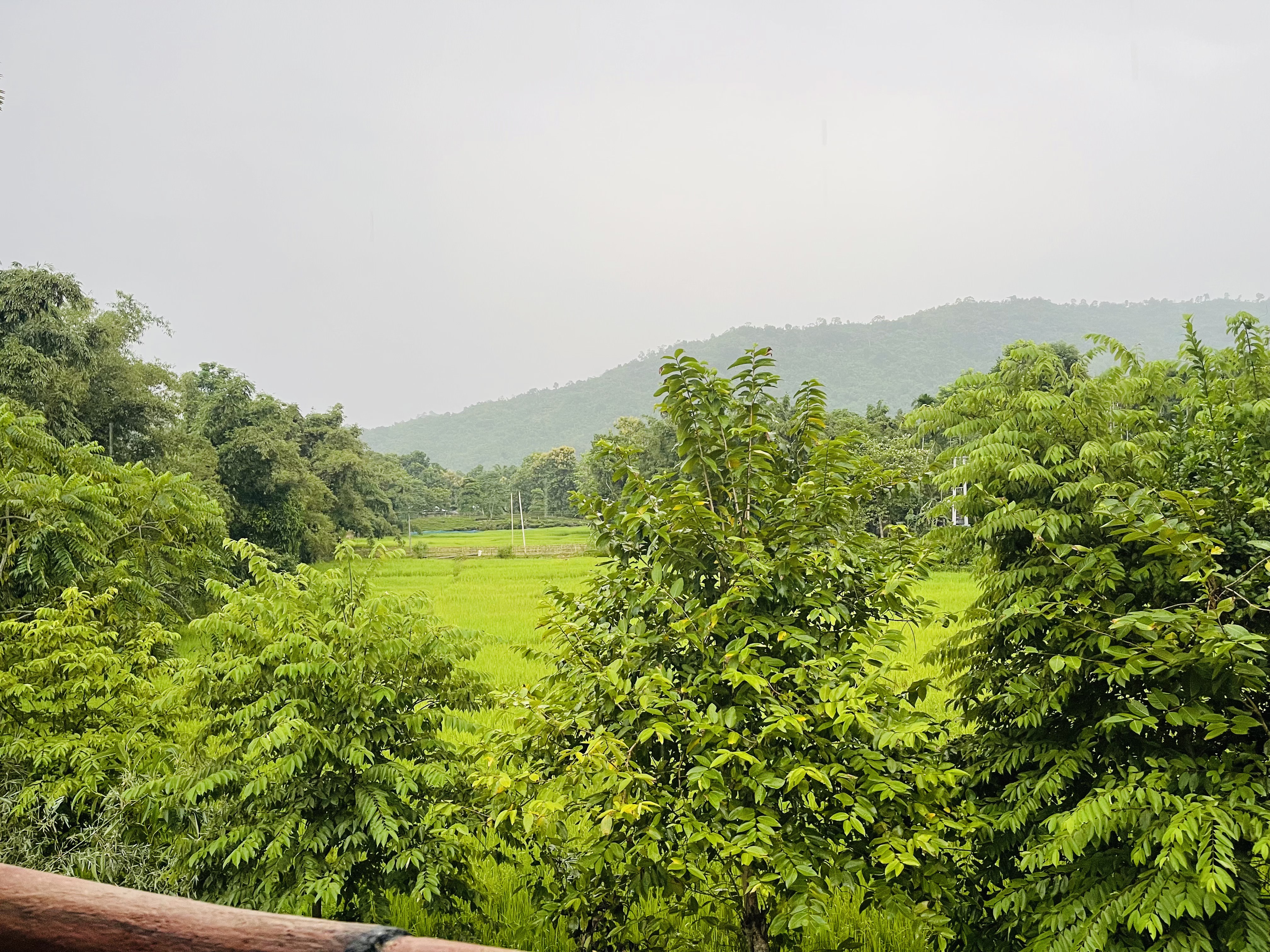 Changmai's Inn Kaziranga - Tap to explore photos