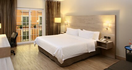 Holiday Inn Express TORREON Room Type - 1 King Standard Access
